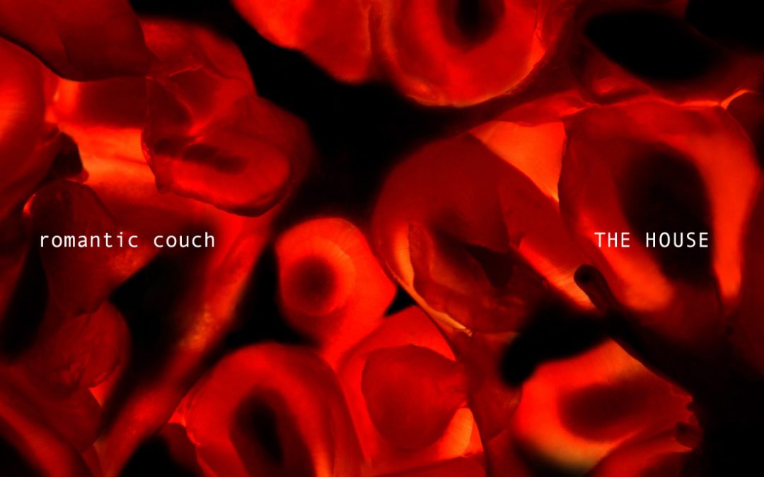 로맨틱 카우치(Romantic Couch) [the house]