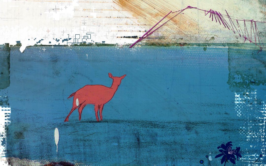 못 (Mot) ‘클로즈’