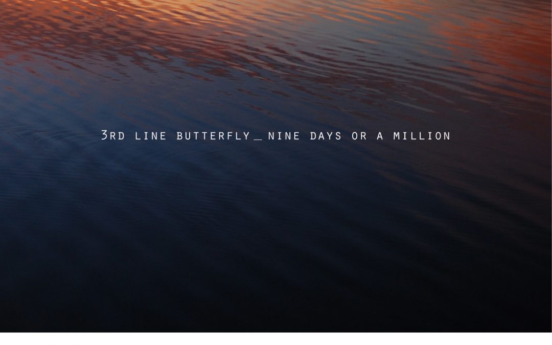 3호선 버터플라이 ‘깊은 밤 안개 속 ‘