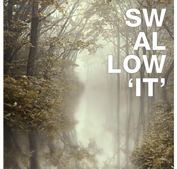 스왈로우 (Swallow) ‘두 사람’