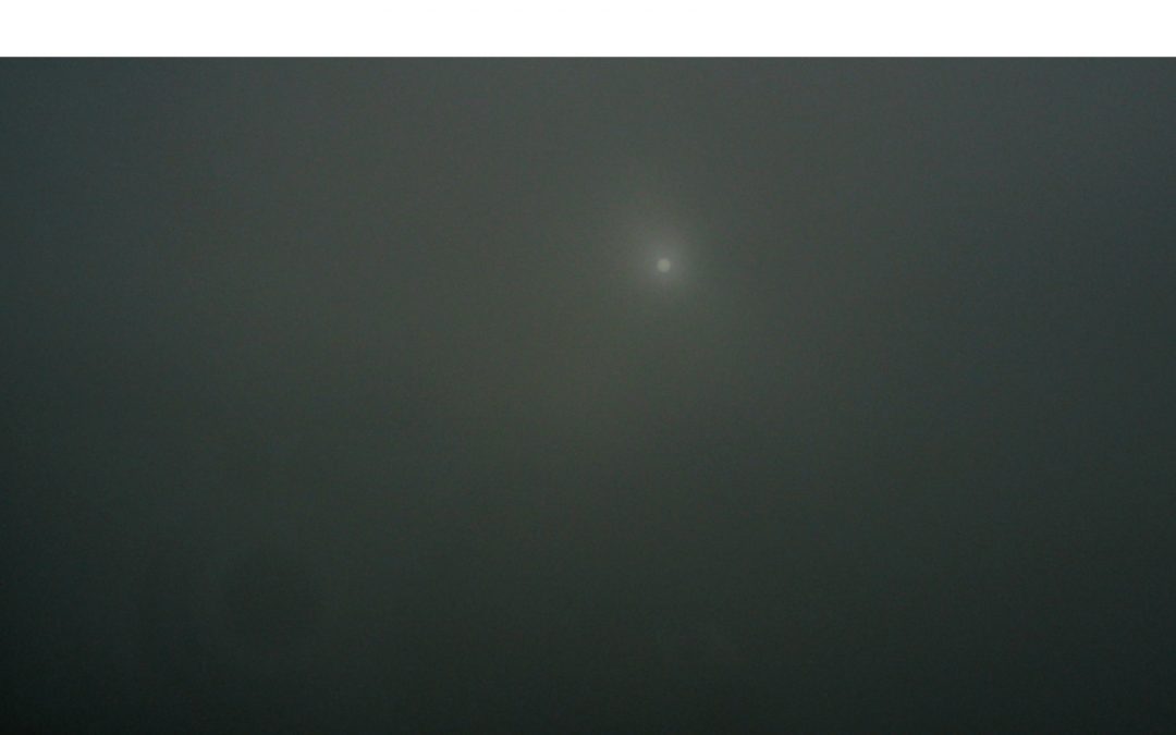 카입 [Theory of Everything]