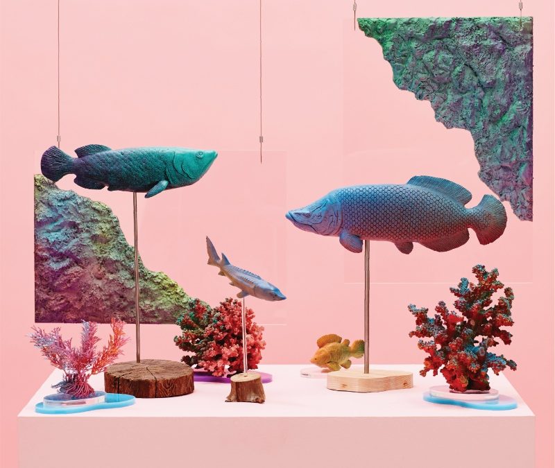 PEEJAY ‘나비야 X ZION.T’