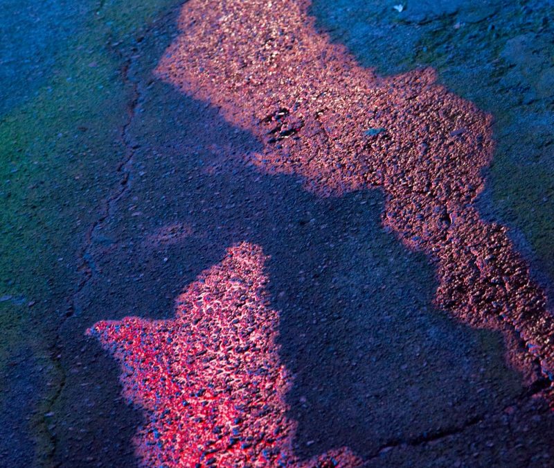 신해경 ‘모두 주세요’