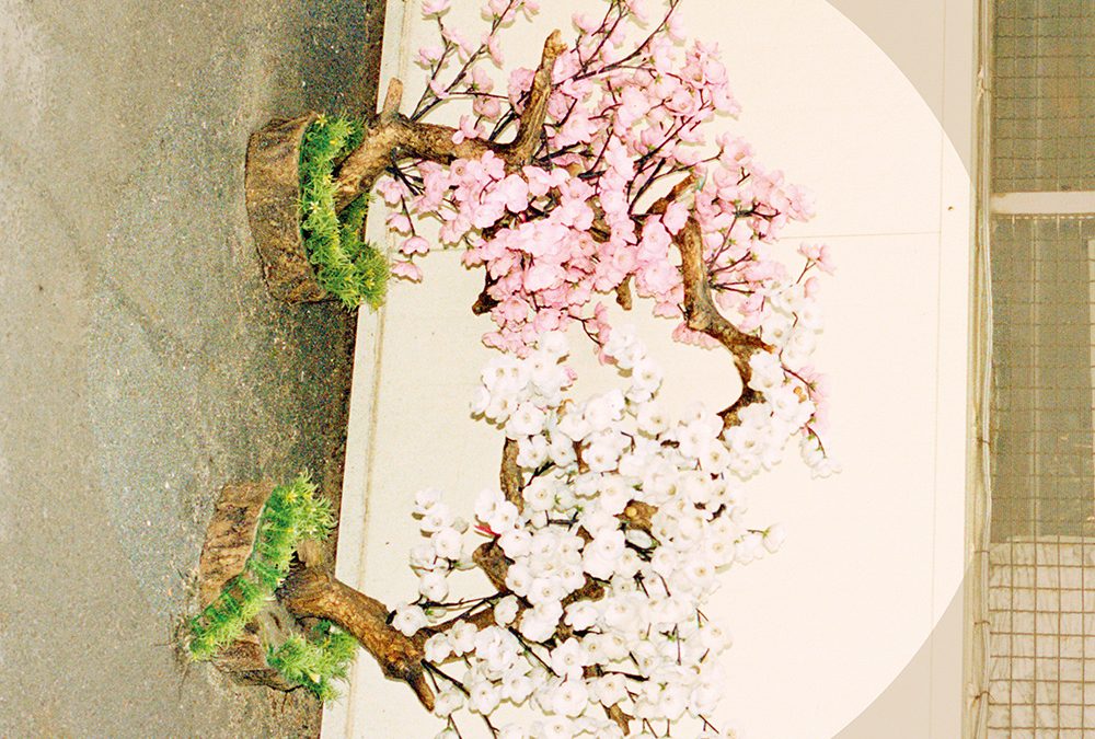 라이프 앤 타임  ‘잠수교’