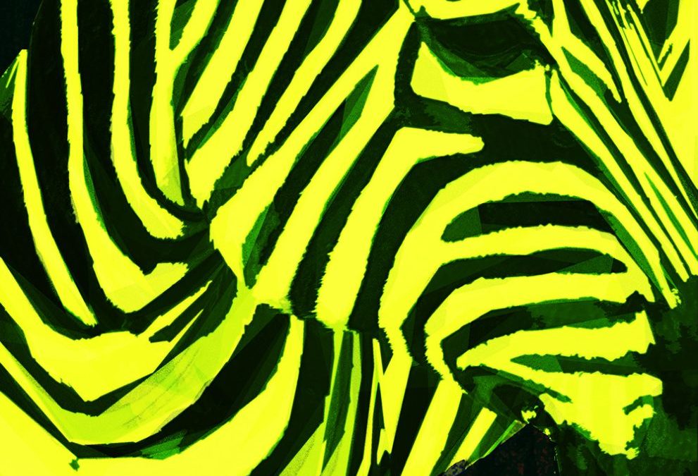 플러그드클래식 [Sabai]