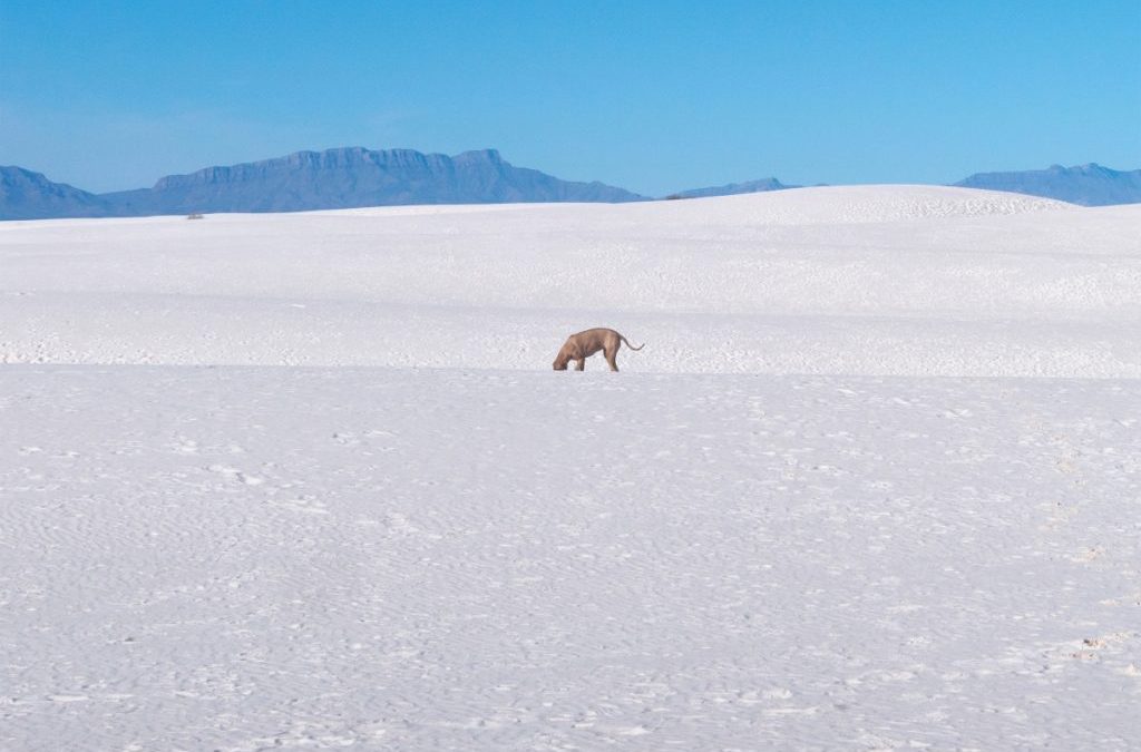 로큰롤라디오 ‘Take me home’