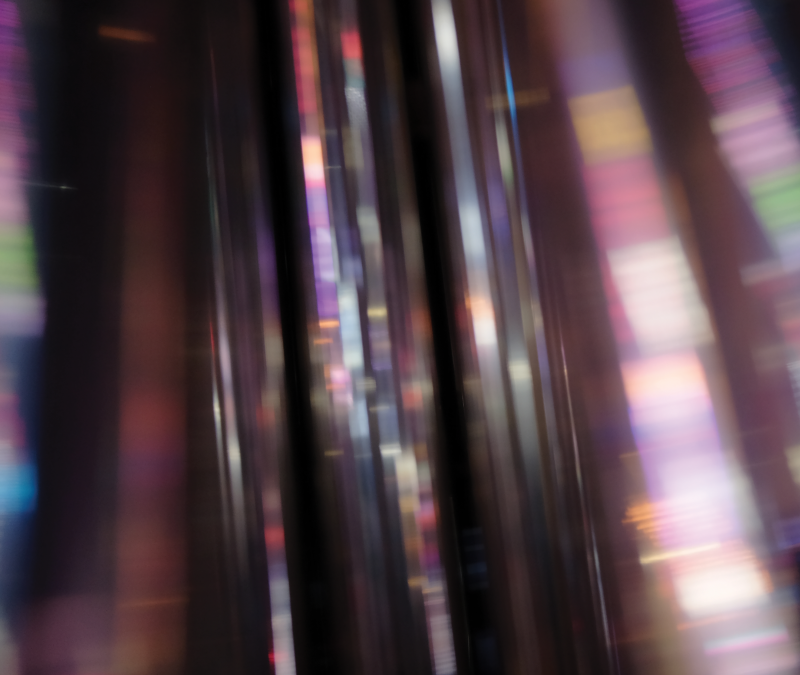 투톤쉐잎(Two Tone Shape) ‘The Prophet’