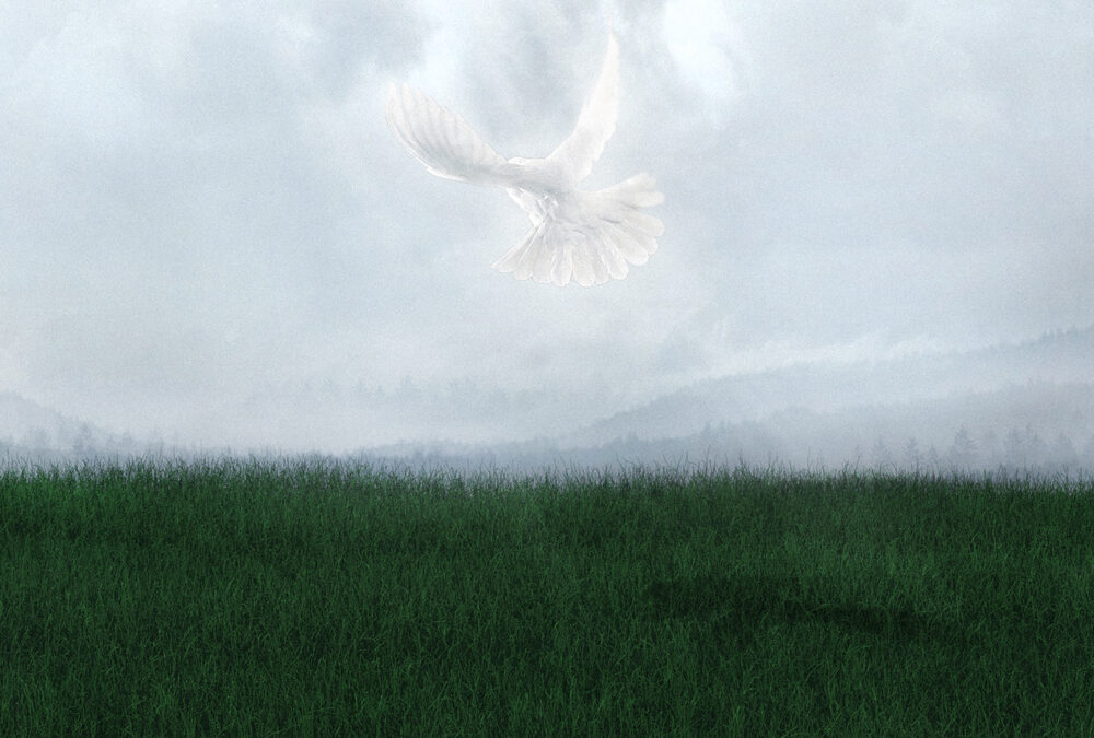 이선지 [Eternal]