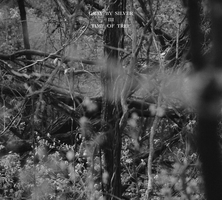 Gray by Silver [Time of Tree (나무의 시간)]